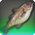 Sabertooth cod icon1.png