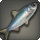 Harbor herring icon1.png