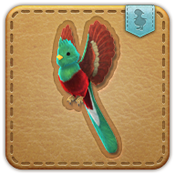 Quetzal icon3.png