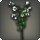 White campanulas icon1.png