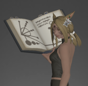 Longstop Grimoire inside.png