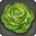 Robe lettuce icon1.png