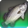 True barramundi icon1.png