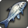 Blue-fish icon1.png