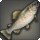 Splendid egg-bearing trout icon1.png