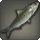 Saber sardine icon1.png