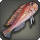 Rasa fish icon1.png