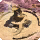 ShB sightseeing log 11 icon.png