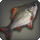 Agelyss carp icon1.png