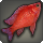 Atamra cichlid icon1.png