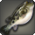 Striped fugu icon1.png