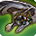 Striped ray icon1.png