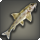 Gravel gudgeon icon1.png