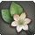 Sweet alyssum icon1.png