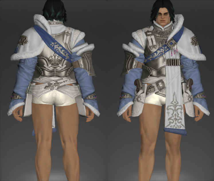 Darbar Jacket of Fending.png