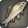 Velodyna grass carp icon1.png