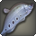 Knifefish icon1.png