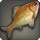 Velodyna carp icon1.png