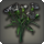 Black carnations icon1.png