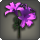 Purple brightlilies icon1.png