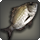 River bream icon1.png