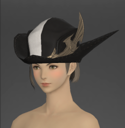 Company-hat.png