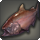 Bronze lake trout icon1.png