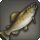 Othardian trout icon1.png