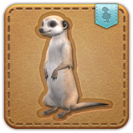 Meerkat icon3.png