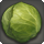 Sun cabbage icon1.png