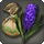 Hyacinth bulbs icon1.png