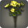 Yellow byregotia icon1.png