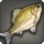 Moat carp icon1.png