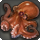 Gigant Octopus