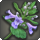 Nipplewort icon1.png