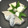 White tulip corsage icon1.png