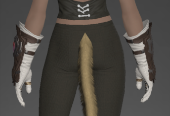 Allagan Gloves of Healing rear.png