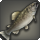 Crown trout icon1.png