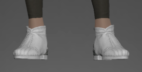 Appointed Shoes front.png