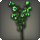 Green campanulas icon1.png