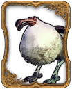 Dodo card1.png