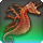 Coral seadragon icon1.png