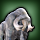 Grand Buffalo icon1.png