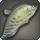 Bowfish icon1.png