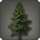 Cedar tree icon1.png