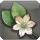 Nymeia Lily (Key Item).png