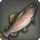 Princess trout icon1.png