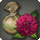 Dahlia bulbs icon1.png