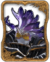 Belladonna card1.png