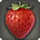 Splendid wild berries icon1.png